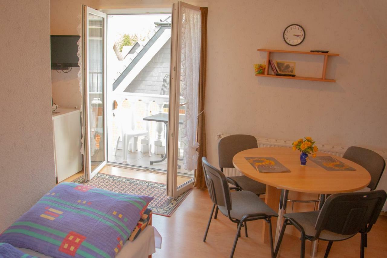 Zielona Okiennica Chillout Daire Chłopy Dış mekan fotoğraf
